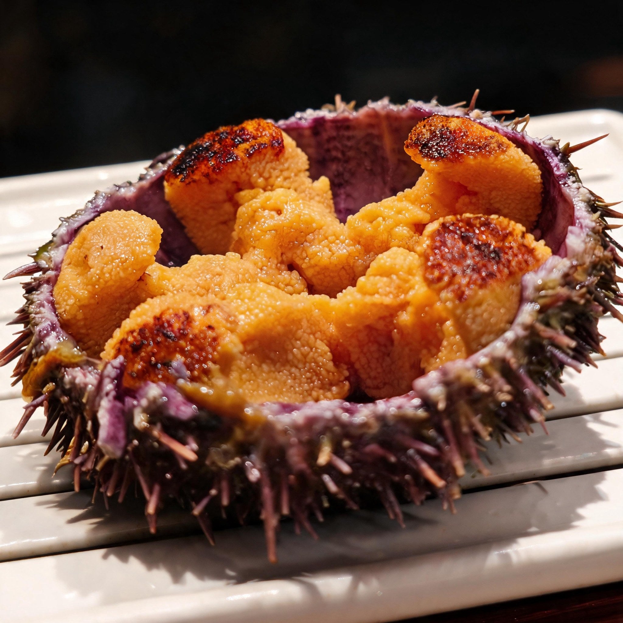 Premium Fresh Sea Urchin Roe, Raw & Torched Options, Rich Creamy Ocean Delicacy